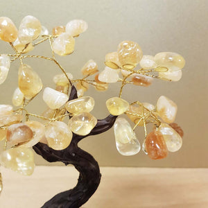 Citrine (heat treated) Tree on Amethyst Cluster (approx. 19x16x12cm)