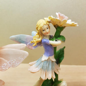 Fairy with Flower 3 assorted
