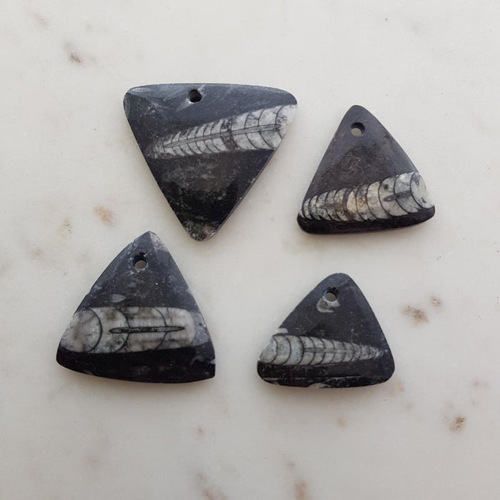 Orthoceras Fossil (360m.yrs) Pendant (assorted. triangular shape)
