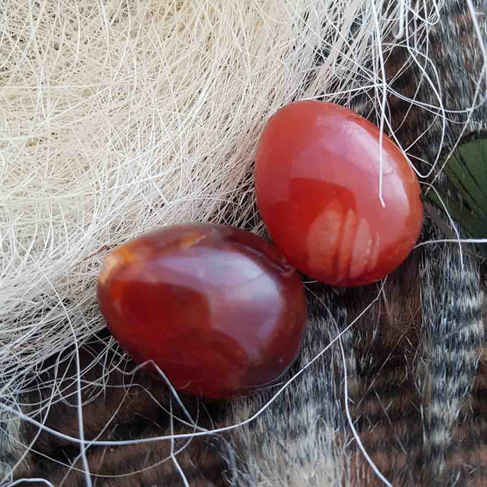 Carnelian Egg (assorted. approx. 4.5-5.5x3-4cm)