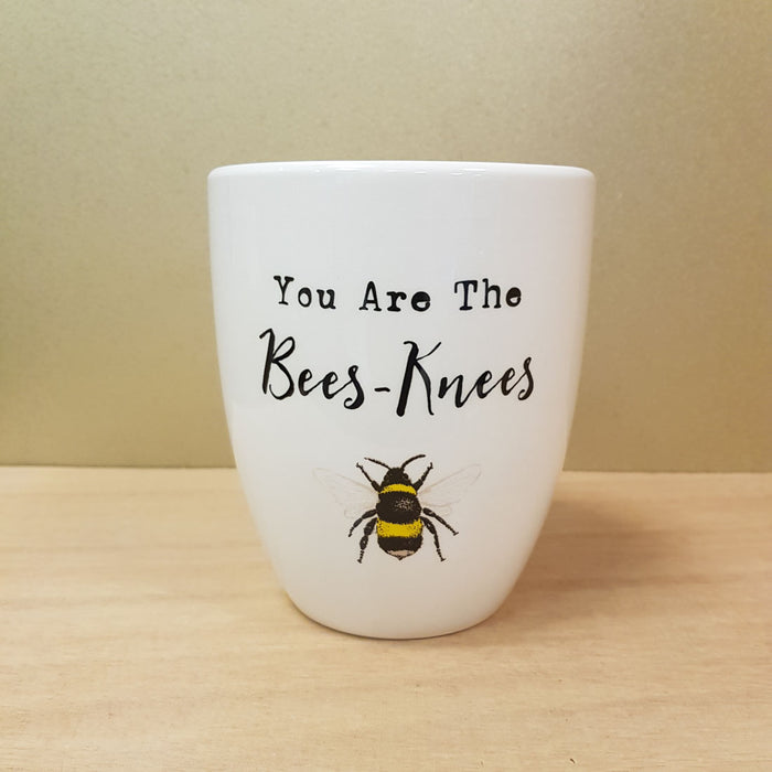 You Are The Bees-Knees Ceramic Plant Pot (approx. 11x13cm)