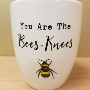 You Are The Bees-Knees Ceramic Plant Pot (approx. 11x13cm)