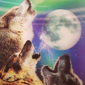 4D Wolf Pack Howling at Moon