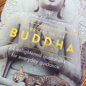 Thoughts of the Buddha Little Affirmations Cards (24 enlightened quotations for everyday guidance)