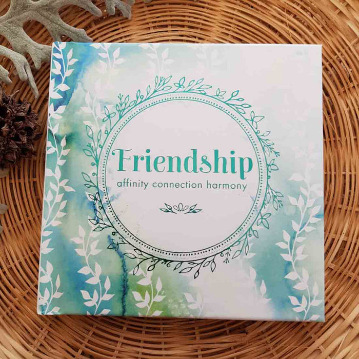 Friendship Affinity Connection Harmony