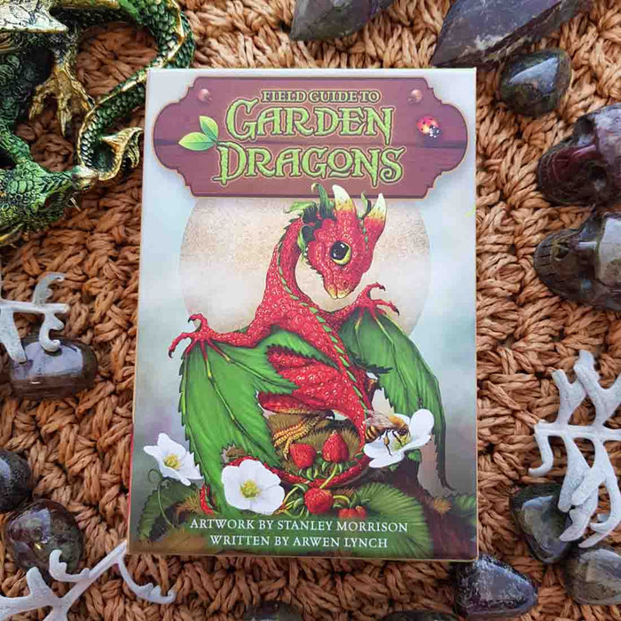 Field Guide to Garden Dragons Card Deck (46 cards and guide book)