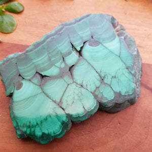 Malachite Slab (approx. 9x6.5cm)