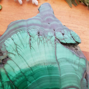 Malachite Slab (approx. 10x8.5cm)