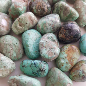 Variscite Tumble (assorted)