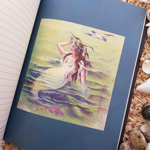 The Mermaids Mirror Journal