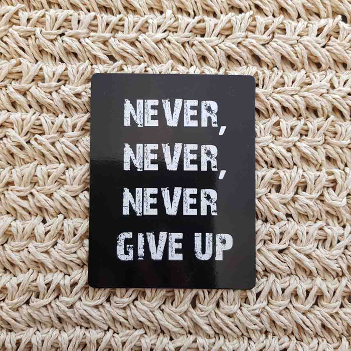 Never, Never, Never Give Up Magnet (approx. 10x7.8cm)
