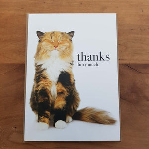 Thanks Furry Much! Card