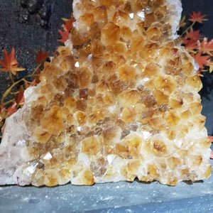 Citrine Cluster with Cut Base (heat treated. approx. 21x17x7cm)