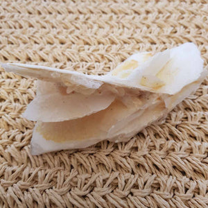 Angel Wing Calcite (approx. 15x7.5x6.5cm)