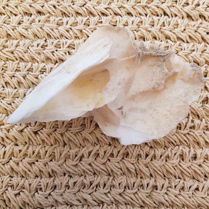 Angel Wing Calcite (approx. 16x9x6cm)