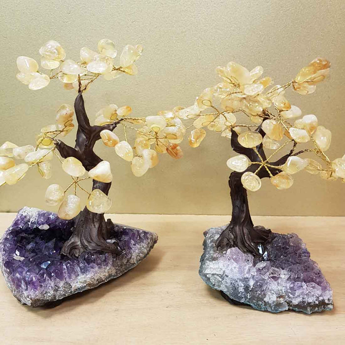 Citrine (heat treated) Tree on Amethyst Cluster (assorted. approx. 18x18x11cm)