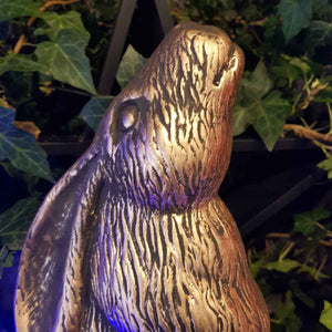 Bronze Moon Gazing Hare 