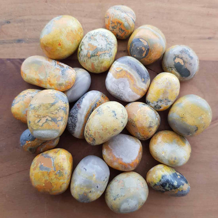 Bumble Bee Jasper Tumble (assorted)