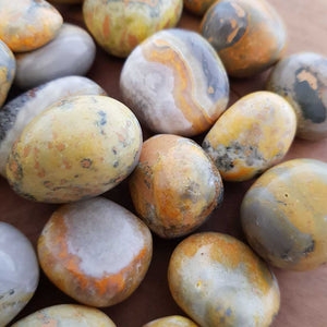 Bumble Bee Jasper Tumble