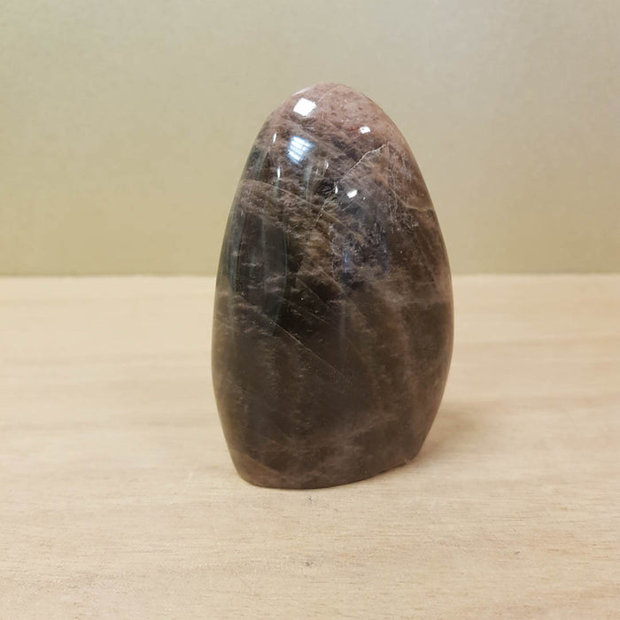 Black Moonstone Standing Free Form (assorted. approx. 8x4.5x2.5cm)