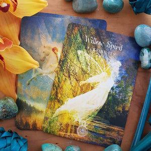 The Sacred Forest Oracle Cards