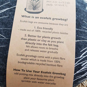 Toetoe Dark Grey Ecofelt Grow Bag