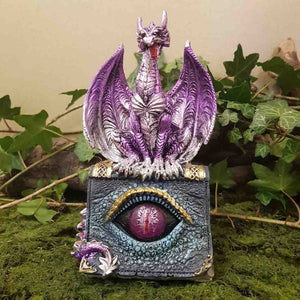 Purple Dragon On Book With LED