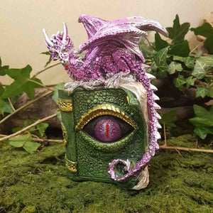 Pink Dragon On Green Book with LED