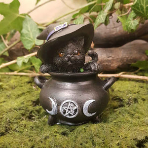 Black Cat With Black Hat In Cauldron