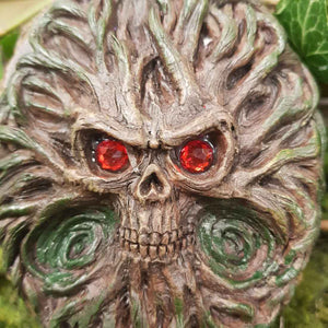 Red Eyed Tree Man Box