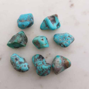 Campitos Turquoise Free Form Nugget from Mexico