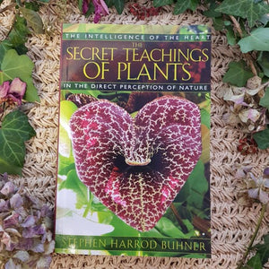 The Secret Teachings of Plants