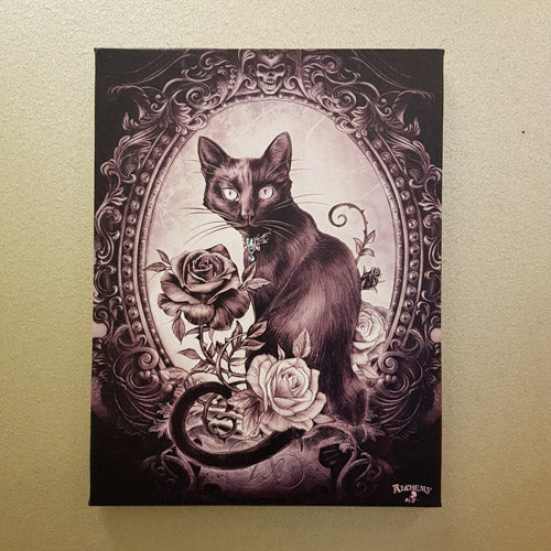 The Philosopher’s Familiar Cat Canvas (approx 25x9xcm)