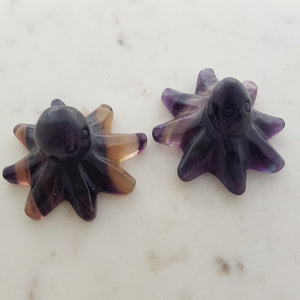 Rainbow Fluorite Octopus