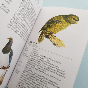 Know Your New Zealand Birds