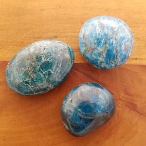 Blue Apatite Palm Stone 