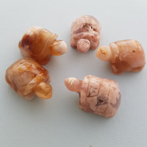 Blossom Agate Turtle (assorted. approx. 2x4x2.5cm)