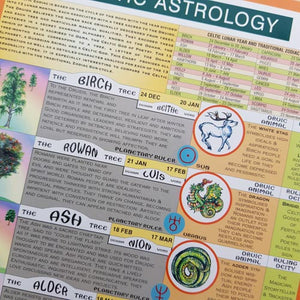 Celtic Astrology Chart