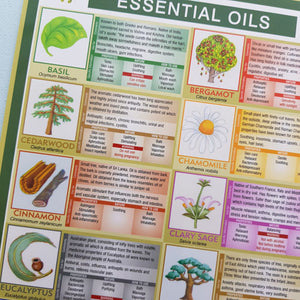 Essential Oils Chart