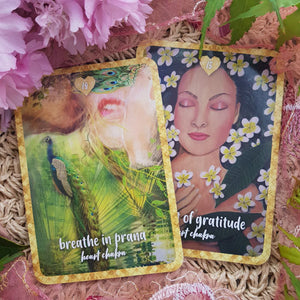 Self Love Oracle Cards (find peace and happiness through the chakras. 36 cards)