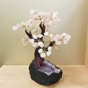 Rose Quartz Tree on Amethyst Cluster and Black Base