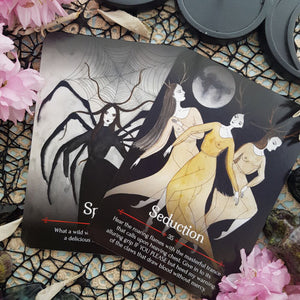 Seasons of the Witch Samhain Oracle Cards