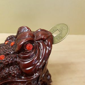 Red Frog Feng Shui