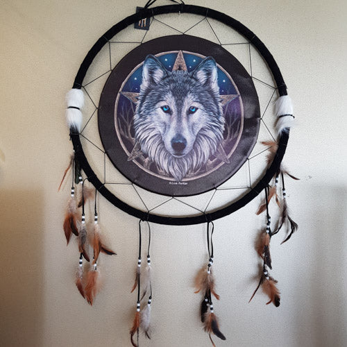 Wolf Head Wall Art by Lisa Parker (approx 60x60cm)