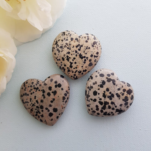 Dalmatian Jasper Heart (assorted. approx. 4x4x1.5cm)