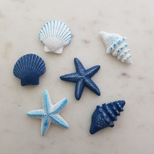 Sea Shell Mini