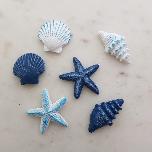 Sea Shell Mini (assorted approx. 4x4 cm)