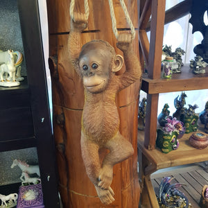Orangutan Hanging Baby