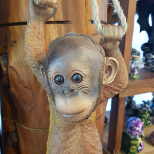 Orangutan Hanging Baby