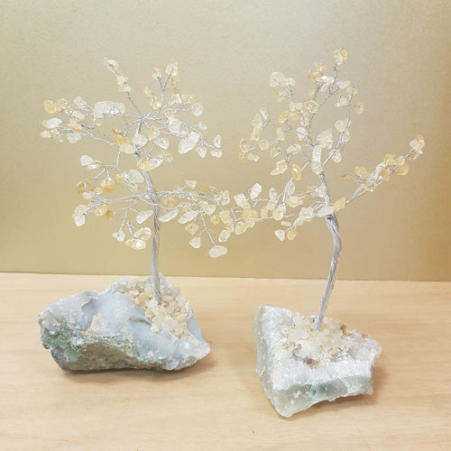 Citrine Crystal Tree (heat treated. assorted. approx.  20x11cm)